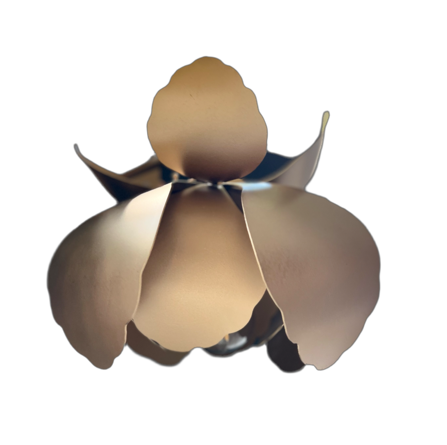 Aplique Magnolia N2 Dorado